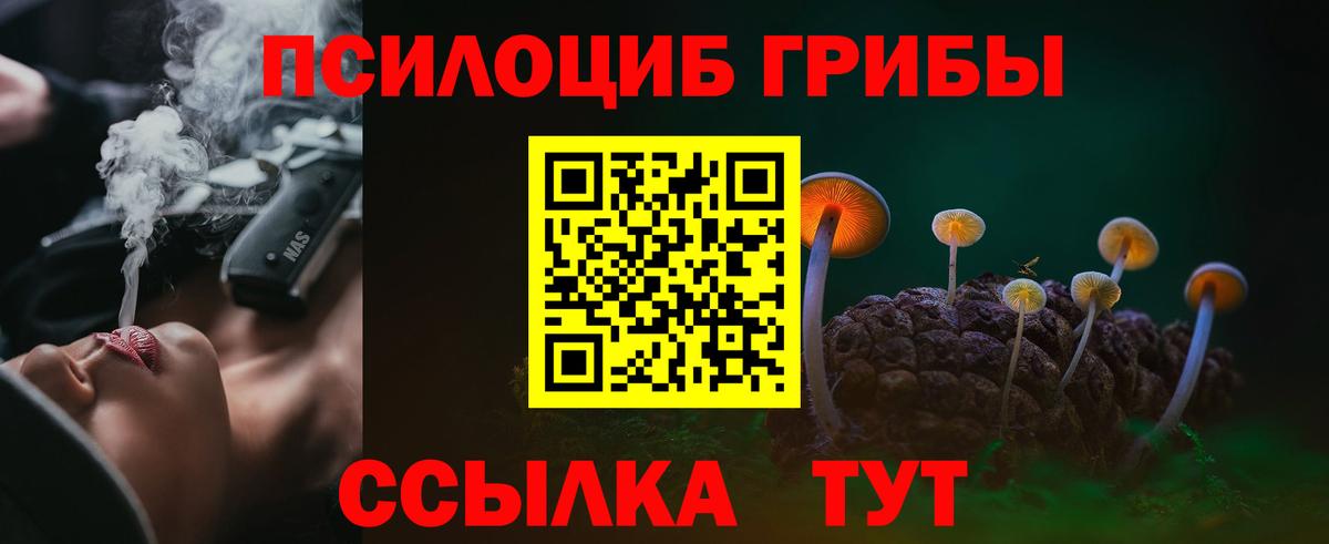 Галлюциногенные грибы MAGIC MUSHROOMS  Вход с VPN  Рязань 